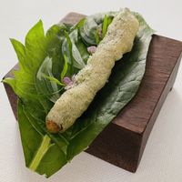   at Eleven Madison Park in New York City