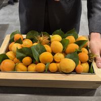 Sorbet in your kitchen   at Eleven Madison Park in New York City