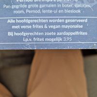  at Patagonia Beach in The Hague