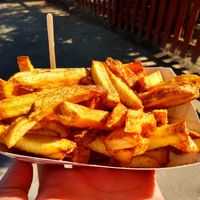 $4 fresh cut fries at Knoebels - Famous French Fries in Elysburg