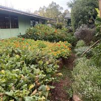   at Cultiva Pizza Shop - Greenhouse Restaurant in Nairobi