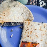   at Deep Roots Market in Greensboro