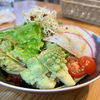 Salad   at AIN SOPH.Ginza in Tokyo