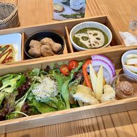 Bento box  at AIN SOPH.Ginza in Tokyo