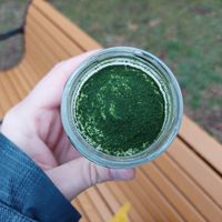 Matcha tiramisu at AIN SOPH.Ginza in Tokyo