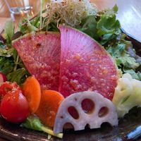 First course: salad at AIN SOPH.Ginza in Tokyo