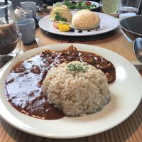 Hayashi rice  at AIN SOPH.Ginza in Tokyo