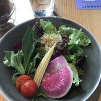 Set salad at AIN SOPH.Ginza in Tokyo