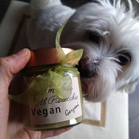 Crema al Pistacchio Vegan #Veganuary at Pasticceria Caffetteria Garzoni in Brescia