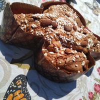 Colomba Vegan at Pasticceria Caffetteria Garzoni in Brescia