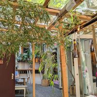  at Cafe Hinterzimmer in Freiburg