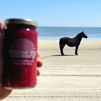  at Shine On Juicery in Kill Devil Hills