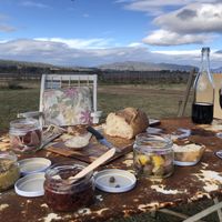 Picnic and wine on the Lowe Family Winery grounds  at Lowe Family Wine Co in Mudgee