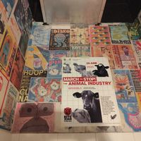  at Kitsune Burgers in Brussels