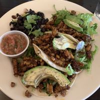 Tempeh Tacos at Toad Hollow in Covington