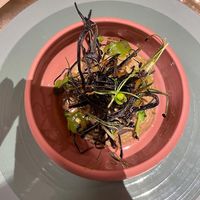 Babaganoush at Linfa in Milan