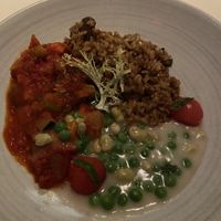 VEGAN sampler plate of ratatouille, pea and fava bean fricassee, and basil rice.  at BCN Taste and Tradition in Houston