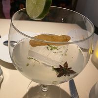 Ginger Gin and Tonic—best I’ve had in years!  at BCN Taste and Tradition in Houston