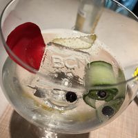 Gintonic   at BCN Taste and Tradition in Houston