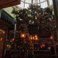  at The Botanist in Newcastle Upon Tyne