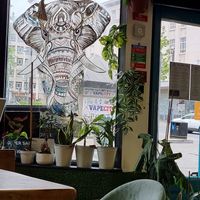  at The Chakra Lounge in Sheffield