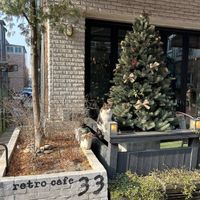 Friendly neighborhood cat at Retro33 - 레트로33 in Yongin