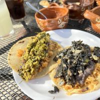 Vegan tacos, one had tofu scramble and the other was mushroom based. Both delicious!   at Tacos ALV  in Playa Del Carmen