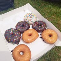 Every kind of donut at Henny Penny Art Space & Cafe in Savannah
