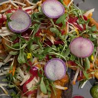 mushroom tinga at Cocina De Barrio in San Diego