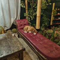  at Samsara's Garden in San Marcos La Laguna