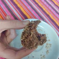 Cashew Ball at Samsara's Garden in San Marcos La Laguna