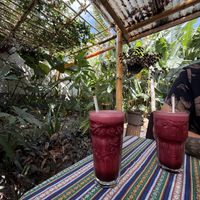   at Samsara's Garden in San Marcos La Laguna