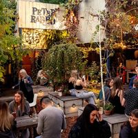 Winter Drinks at Peter Rabbit in Adelaide