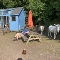 The Hut at The Hut at Tribe Animals Sanctuary in Braidwood