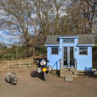  at The Hut at Tribe Animals Sanctuary in Braidwood