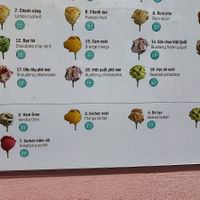  at Kem 2Cream - Hoan Kiem Lake in Hanoi