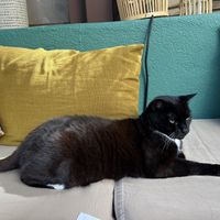   at Le Jardin in Hyeres