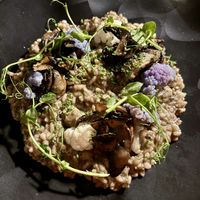 Vegan mushroom risotto   at Humo in San Jose Del Cabo