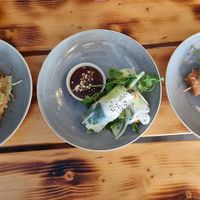 Vorspeisen Avocado Tempura, Sommerrollen, Tofospieße mit Erdnusssoße at Lôc Vegan in Mainz