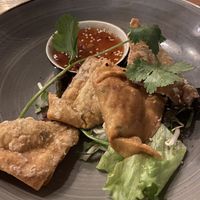 Won Tons  at Lôc Vegan in Mainz