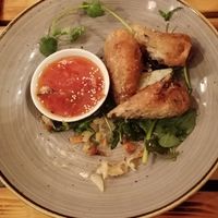 Spring Rolls at Lôc Vegan in Mainz