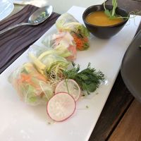 vietnamese salad rolls with mango and papaya at Shambala in Ljubljana
