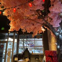 Lovely interior  at Botan Ramen n' Bar in Everett