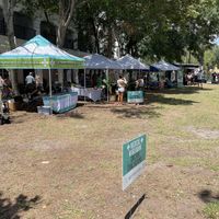 Market at International Vegan Food Festival in Orlando