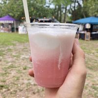 Kombucha ice cream float at International Vegan Food Festival in Orlando