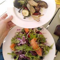 Grilled veggies and vegan seasonal salad at Villa Augustus in Dordrecht