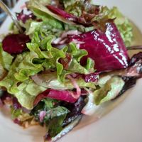 Vegan salad at Villa Augustus in Dordrecht