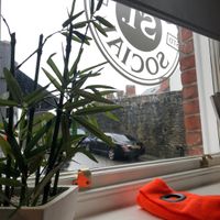 On the city walls  at Castle Bistro in Londonderry