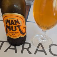 IPA from Montenegro at Resto Bar Taraca in Kotor