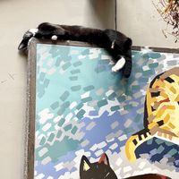   at Java Whiskers in London